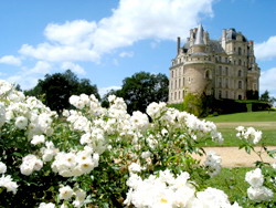 Ch&acirc;teau de Brissac Val de Loire - Angers
